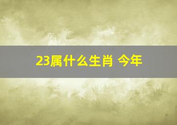 23属什么生肖 今年